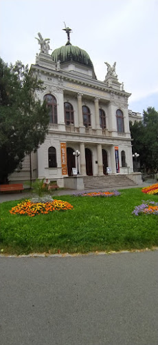 Slezske zemske muzeum - Ustredni knihovna
