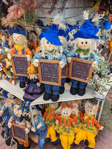 Home Goods Store «Christmas Tree Shops», reviews and photos, 1117 Woodruff Rd, Greenville, SC 29607, USA