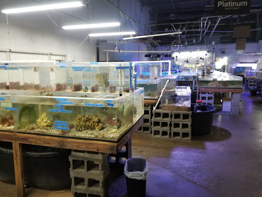 Tropical Fish Store «The Fish Store», reviews and photos, 2050 Chamblee Tucker Rd, Chamblee, GA 30341, USA