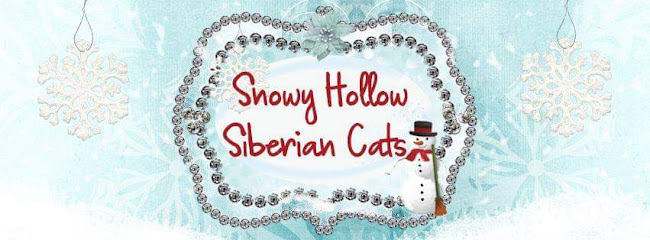 Snowy Hollow Siberian Cats