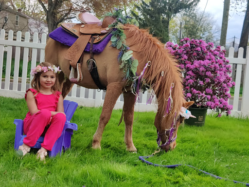 Barclay Pony Party People