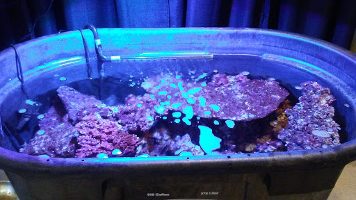 Pet Store «Pet Cove», reviews and photos, 820 E Center St, Kingsport, TN 37660, USA