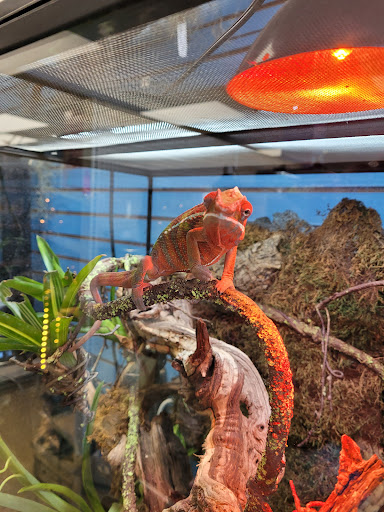 Pet Store «Fins Feathers Paws & Claws», reviews and photos, 436 Main St, Harleysville, PA 19438, USA