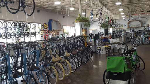 Bicycle Store «Richardson Bike Mart», reviews and photos, 1451 W Campbell Rd, Richardson, TX 75080, USA