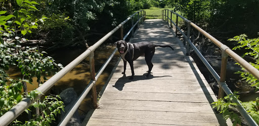 Golf Course «Warren Valley Banquet Ctr», reviews and photos, 26116 W Warren St, Dearborn Heights, MI 48127, USA