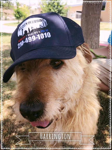 Plumber «Big City Plumbing, LLC», reviews and photos