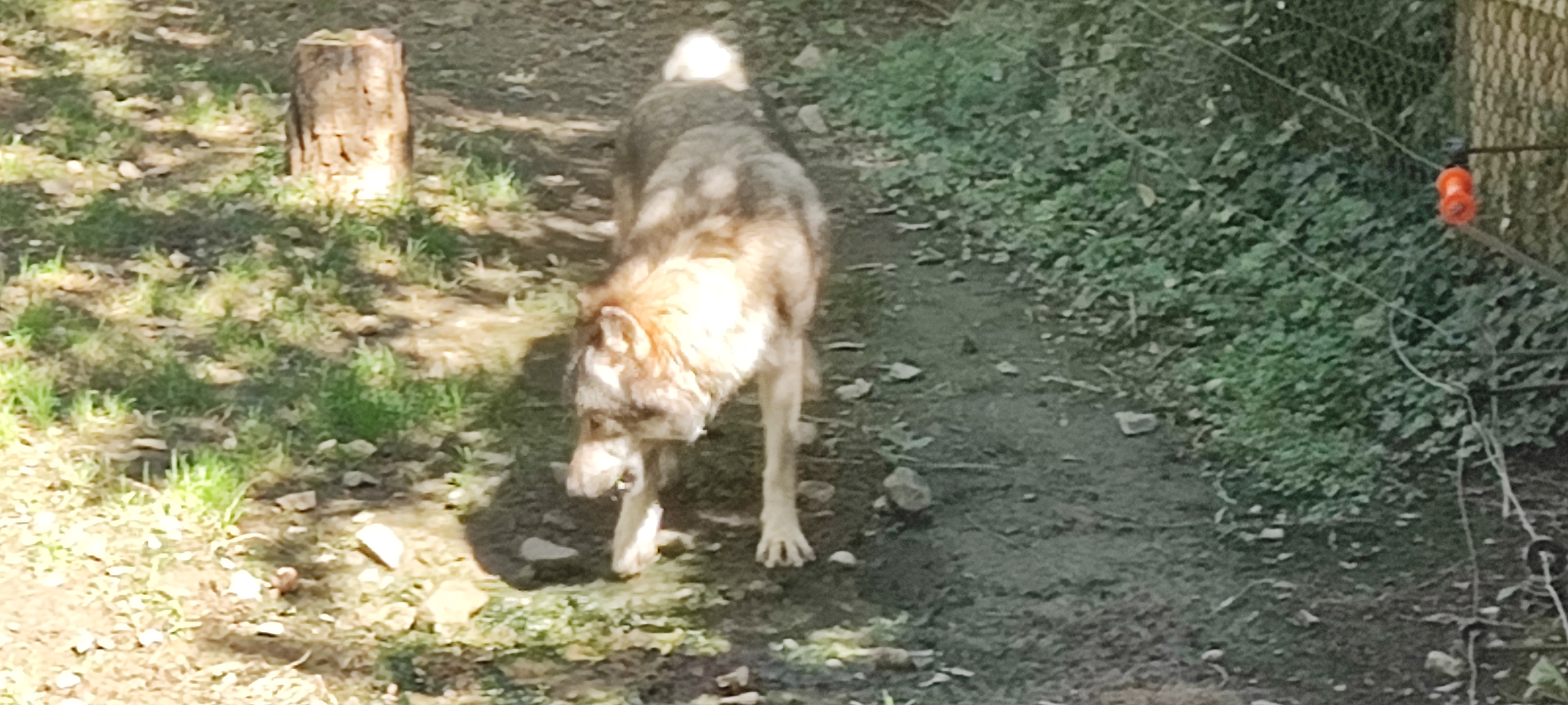 Photo n° 15 de l'avis de Thierry.i fait le 28/09/2023 à 17:40