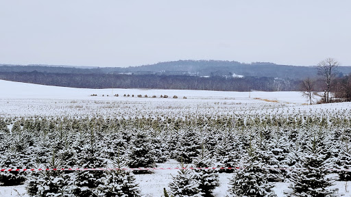 Sugargrove Tree Farm Inc image 1