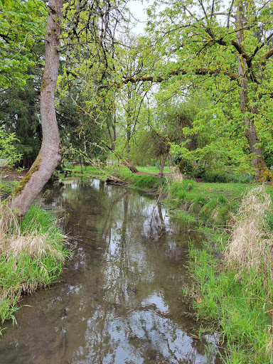 Park «Island Park», reviews and photos, 200 W B St, Springfield, OR 97477, USA