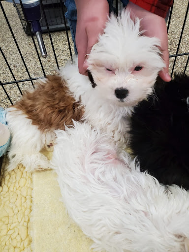 Pet Supply Store «Pet Ranch», reviews and photos, 3823 E 120th Ave, Denver, CO 80233, USA