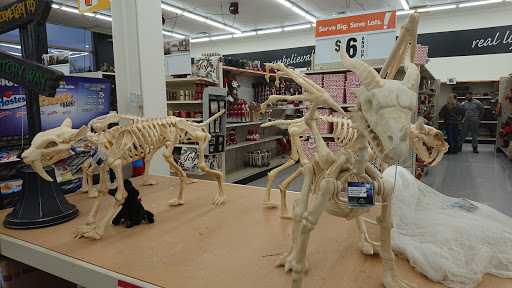 Discount Store «Big Lots», reviews and photos, 3140 Lohr Rd, Ann Arbor, MI 48108, USA