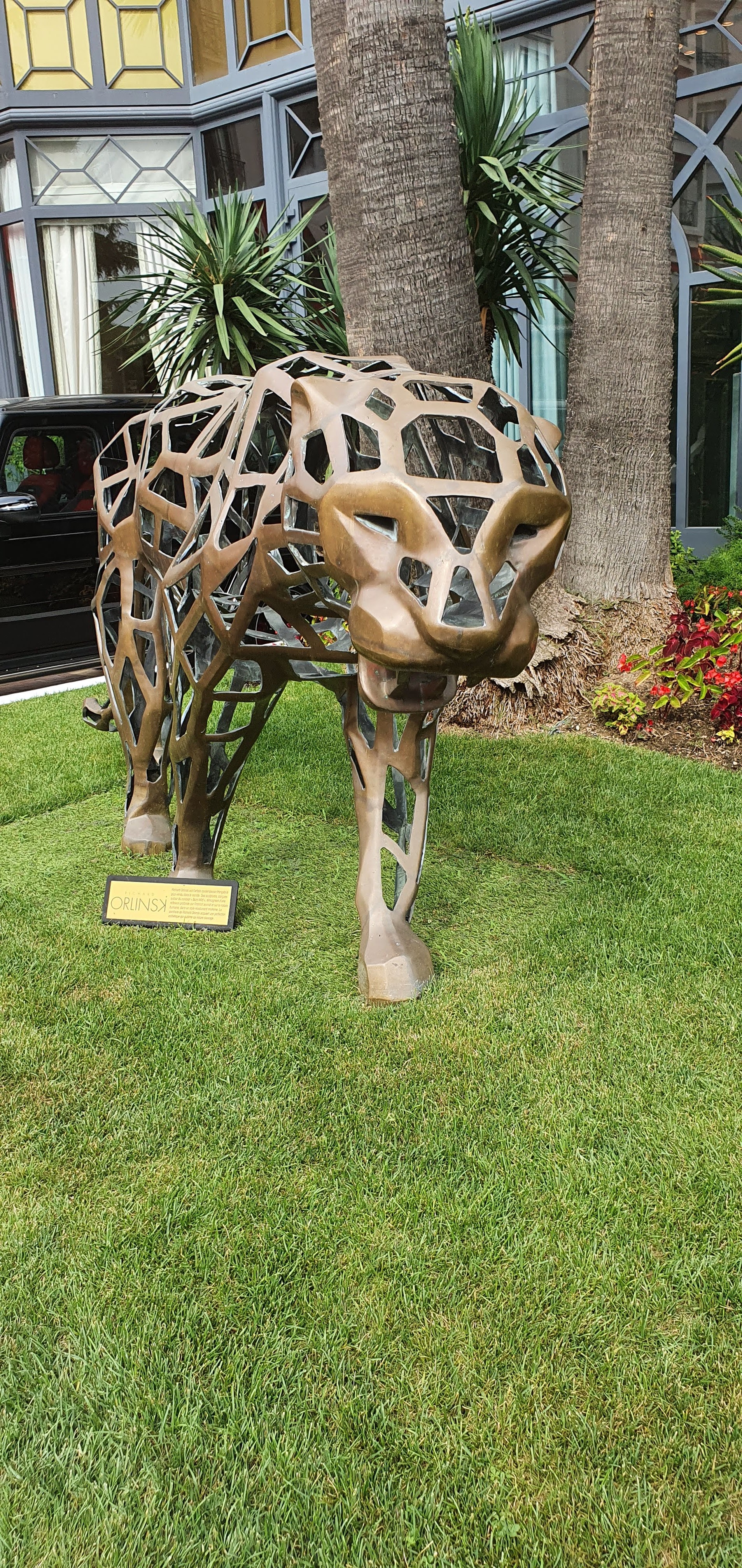 Photo n° 3 de l'avis de mezani.a fait le 12/08/2020 à 16:46