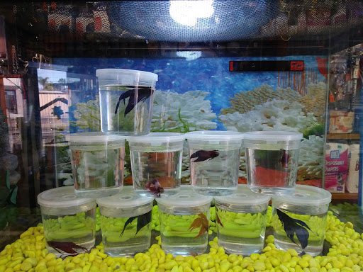 Pet Supply Store «Rutser Pet Store», reviews and photos, 5418 E Beverly Blvd, East Los Angeles, CA 90022, USA