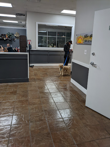 Explore tattoo ideas lotus flower, creative tattoo ideas in Charlotte, available at Tattoo Bills Charlotte