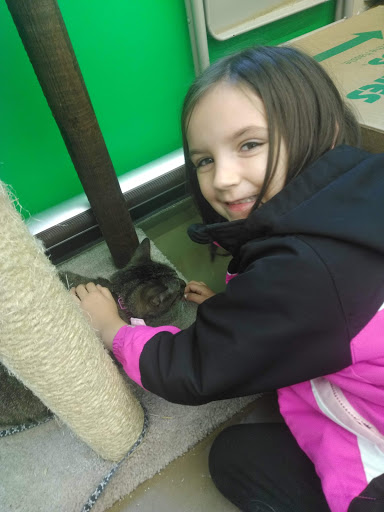 Pet Supply Store «Pet Supplies Plus», reviews and photos, 2430 Stringtown Rd, Grove City, OH 43123, USA