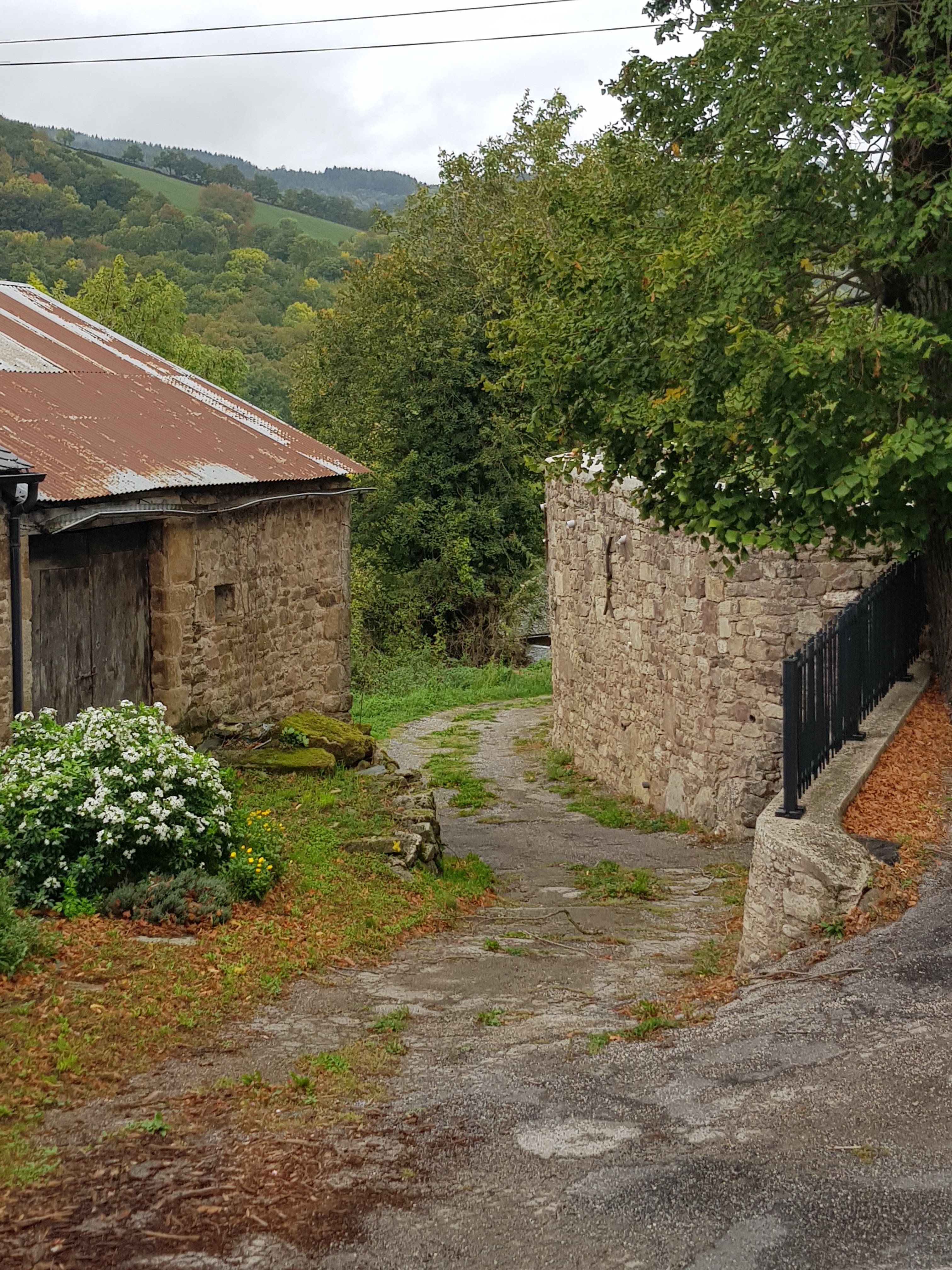 Photo n° 4 de l'avis de Sandra.o fait le 27/10/2022 à 17:33