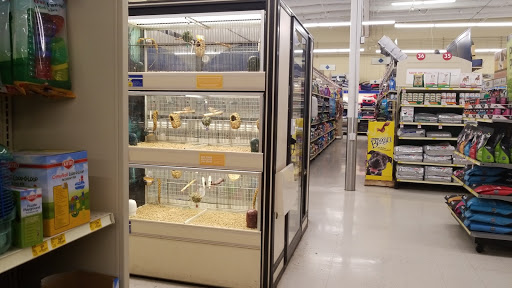 Pet Supply Store «PetSmart», reviews and photos, 430 NW Eastman Pkwy, Gresham, OR 97030, USA