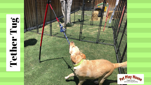 Pet Store «Pet Play House», reviews and photos, 2403 E 4th St, Reno, NV 89512, USA