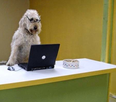 PC Doodle, 3600 Minnehaha Ave, Minneapolis, MN 55406, USA, 