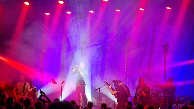 Musikhuzet - Natklub