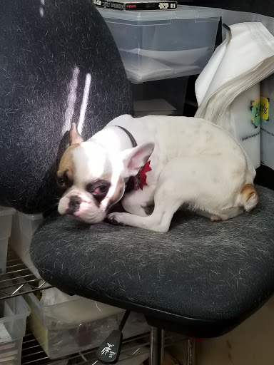 Pawn Shop «American Fork Pawn Shop», reviews and photos, 88 W Main St, American Fork, UT 84003, USA