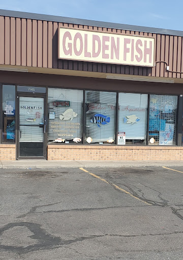 Golden Fish Aquariums