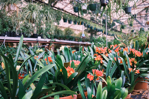 Heimlich's Nursery & Garden