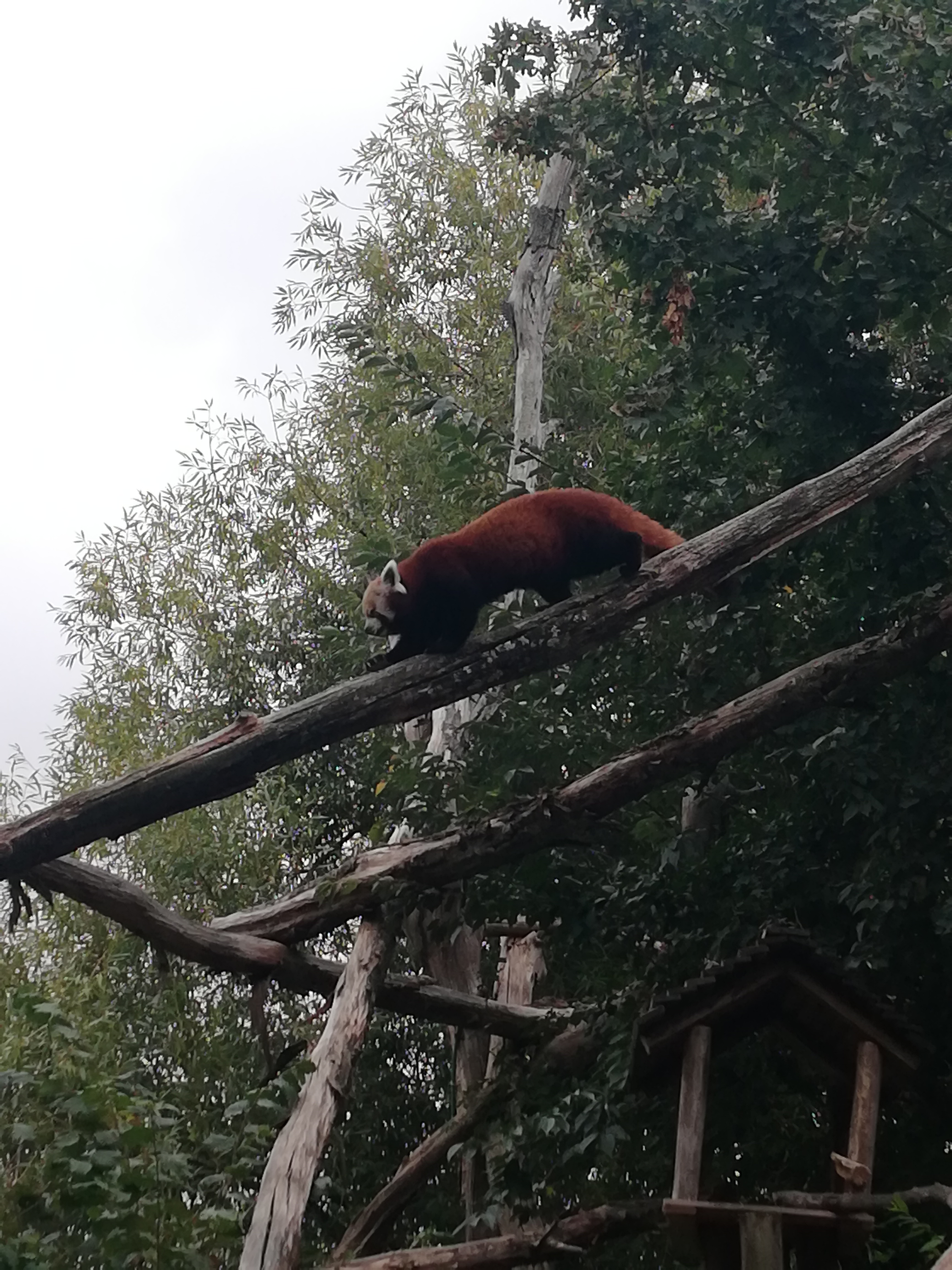 Photo n° 2 de l'avis de BEATRICE.I fait le 10/09/2019 à 18:21