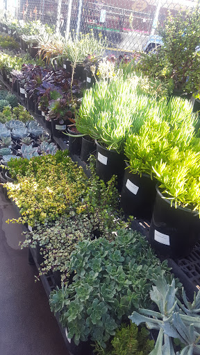 Hardware Store «Santa Barbara Home Improvement Center», reviews and photos, 415 E Gutierrez St, Santa Barbara, CA 93101, USA