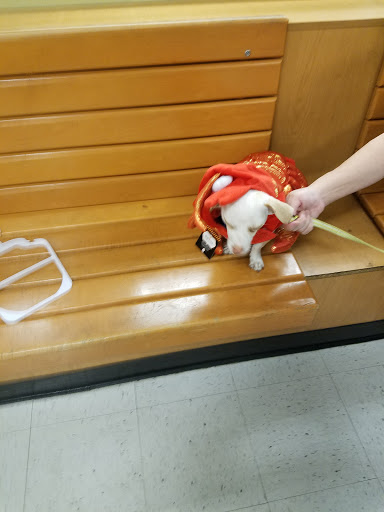 Pet Supply Store «PetSmart», reviews and photos, 8215 Laguna Blvd, Elk Grove, CA 95758, USA