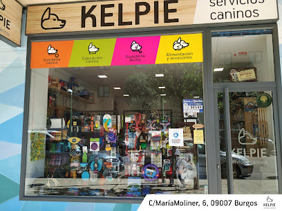 Kelpie Servicios Caninos - Servicios para mascota en Burgos