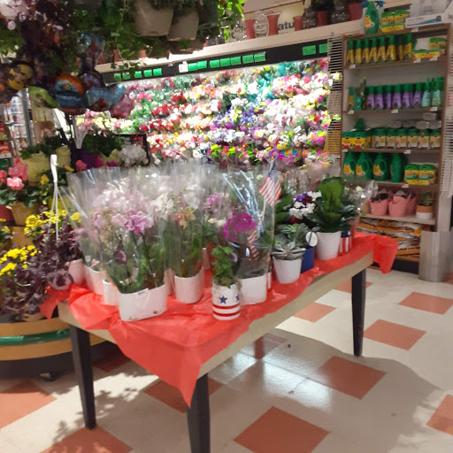 Grocery Store «Market Basket», reviews and photos, 230 S Main St, Middleton, MA 01949, USA