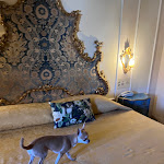 Photo n°3 de l'avis de A..v fait le 27/08/2022 à 13:08 sur le  Hotel Principe à Florence