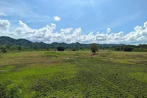 Padang Savana Sadengan image