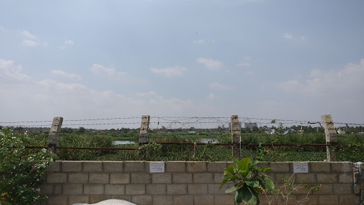 Google Maps image 25