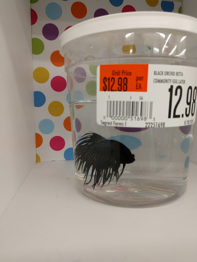 Pet Supply Store «Pet Supplies Plus», reviews and photos, 5394 Kemps River Dr Suite 101, Virginia Beach, VA 23464, USA