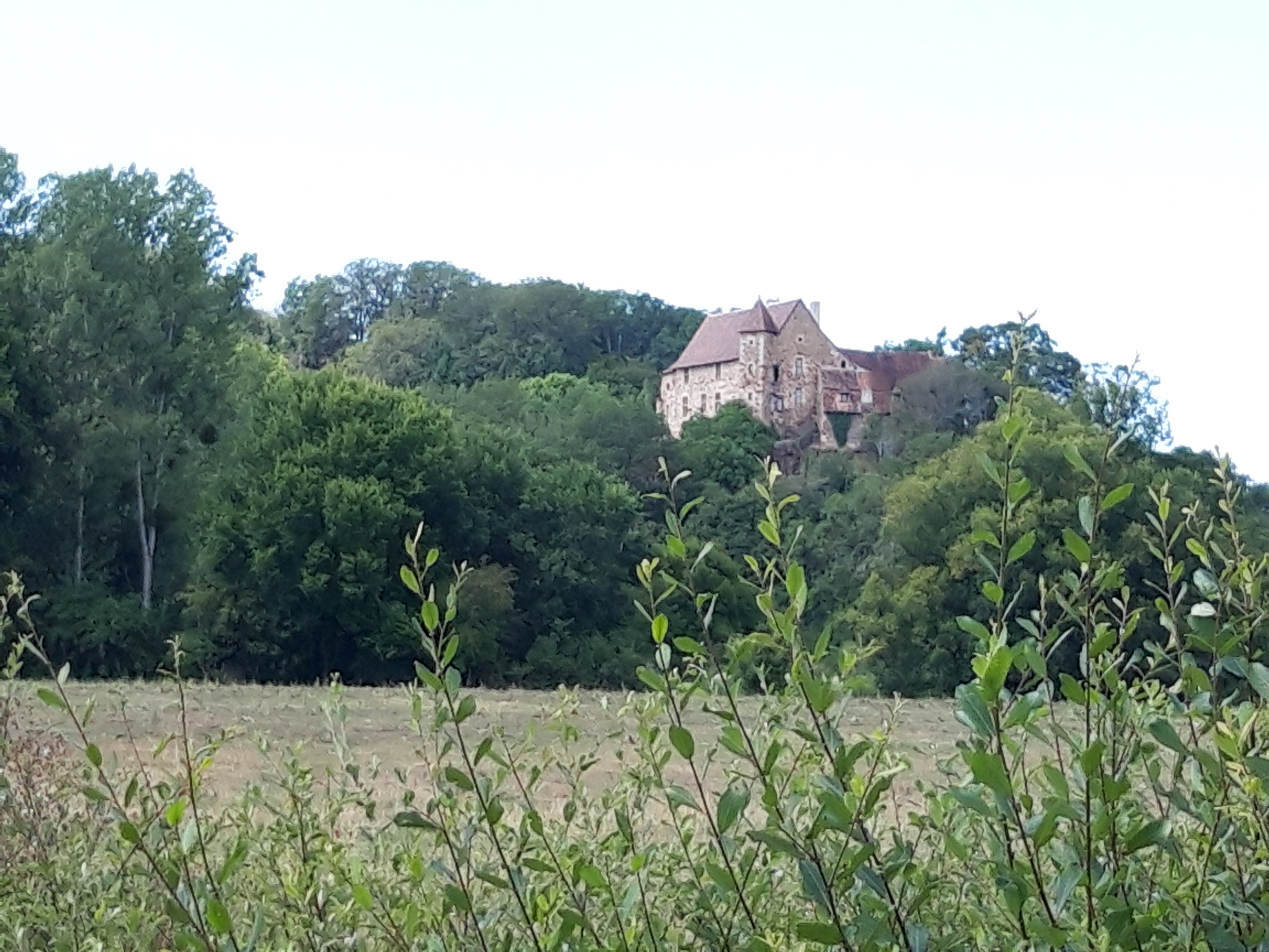 Photo n° 2 de l'avis de Remy.A fait le 11/08/2023 à 12:57