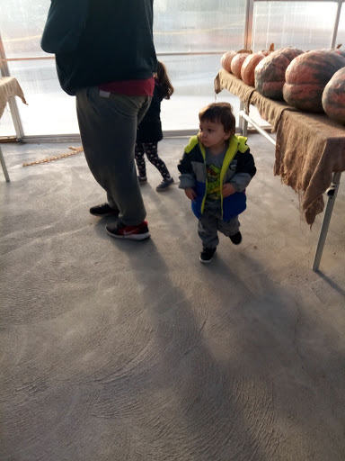 Farm «Four Town Farm», reviews and photos, 90 George St, Seekonk, MA 02771, USA