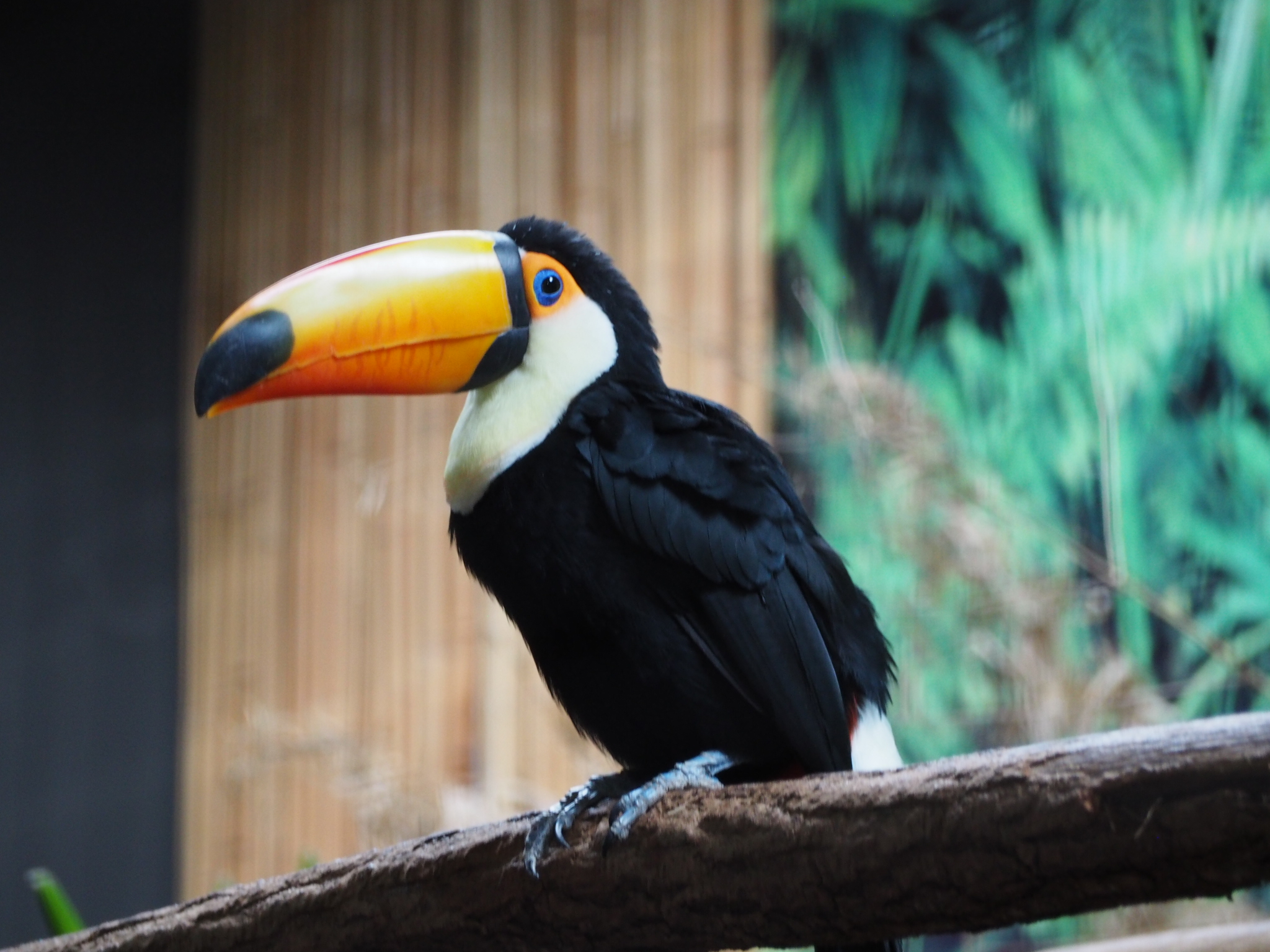 Photo n° 8 de l'avis de Carole. fait le 22/08/2022 à 21:38