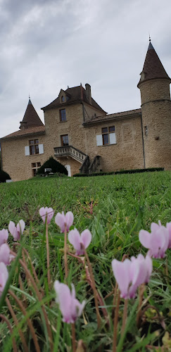 Château Massereau à Barsac