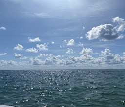 Jungle Tour Barracuda photo