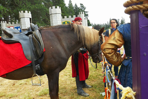 Fairground «Clackamas County Fairgrounds», reviews and photos, 694 NE 4th Ave, Canby, OR 97013, USA
