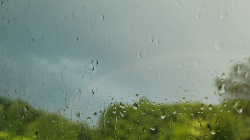 Nature Preserve «Wolf Rock Nature Preserve», reviews and photos, 251 Clover Mill Rd, Storrs, CT 06268, USA