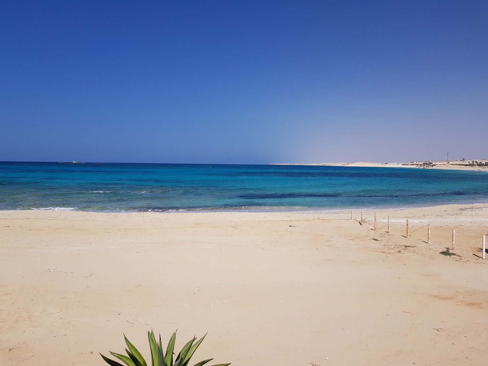 Photo de Caesar Sodic Beach - endroit populaire parmi les connaisseurs de la détente