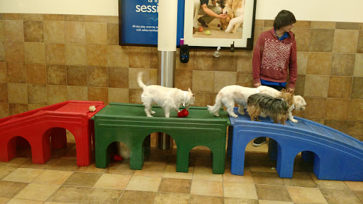 Pet Supply Store «PetSmart», reviews and photos, 6204 W Park Blvd, Plano, TX 75093, USA