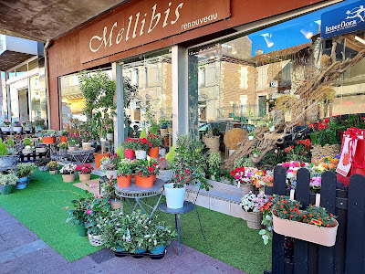 Mellibis Renouveau, Artisan Fleuriste à Agen à Agen
