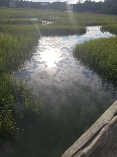 Park «Sanford D. Cox, Sr. Community Park», reviews and photos, 470 Elizabeth Dr, Murrells Inlet, SC 29576, USA