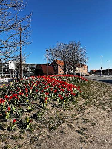 Anmeldelser af Rådhusparken i Frederikshavn - Skole