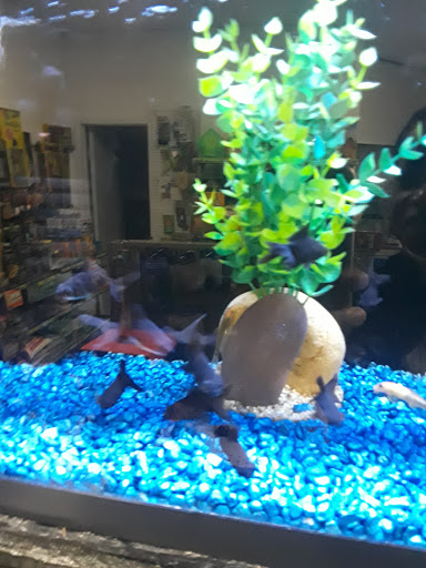 Pet Store «Animal Lovers Pet Shop», reviews and photos, 24028 Vista Montana, Torrance, CA 90505, USA