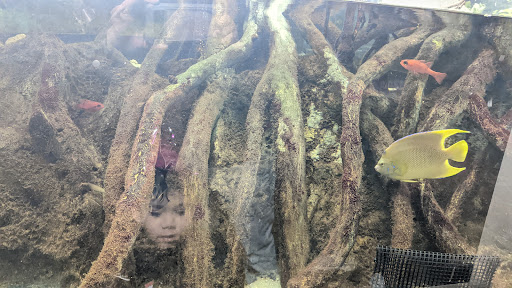 Aquarium «Newport Aquarium», reviews and photos, 1 Aquarium Way, Newport, KY 41071, USA